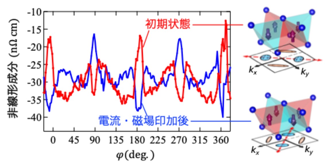 2026_sakai_nematic_press