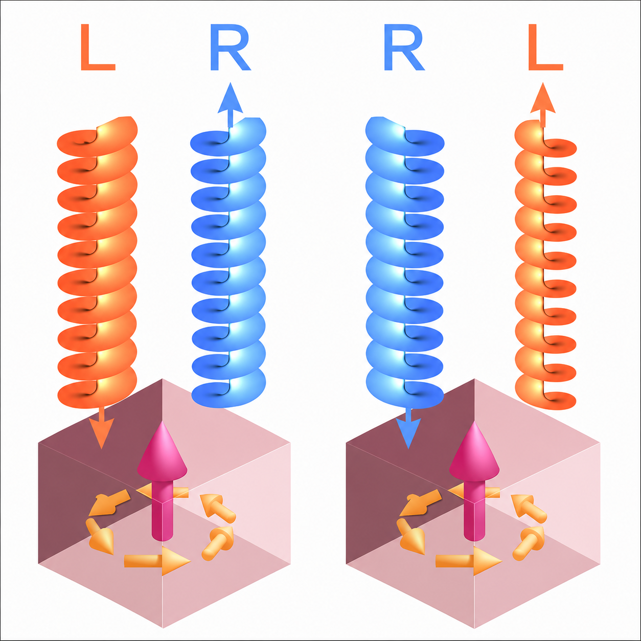 New paper in Physical Review Letters